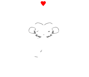 Flowey Magnet