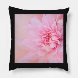 Calm Delicate Pink Flower Pillow