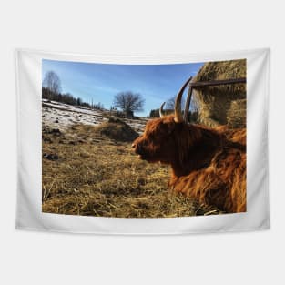 Scottish Highland Cattle Cow 2330 Tapestry