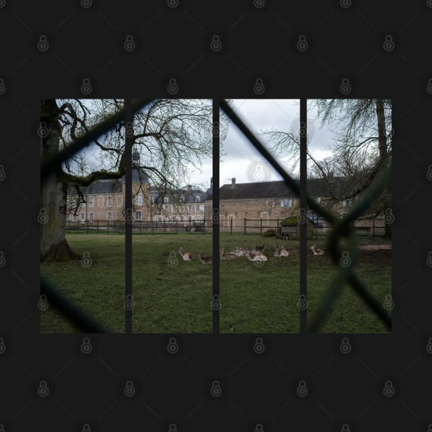 The castle of Pierre-de-Bresse is a 17th-century castle in the Bourgogne-Franche-Comte. Cloudy winter day by fabbroni-art