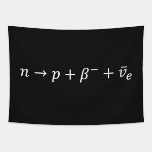 Neutron To Proton Beta Decay - Nuclear Physics Basics Tapestry