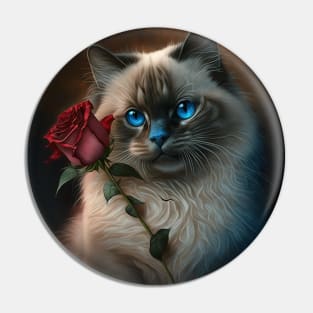 Ragdoll Cat With A Red Rose Pin