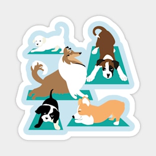 Yoga Dogs Magnet