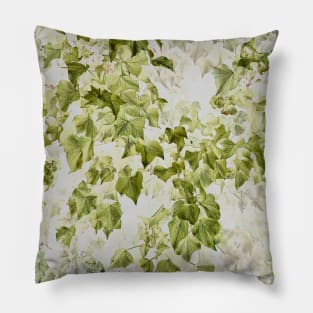 Hedera helix Pillow