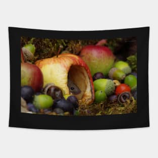 wild house mouse  in a apple Tapestry