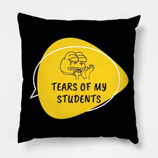 Tears of my Students Pillow