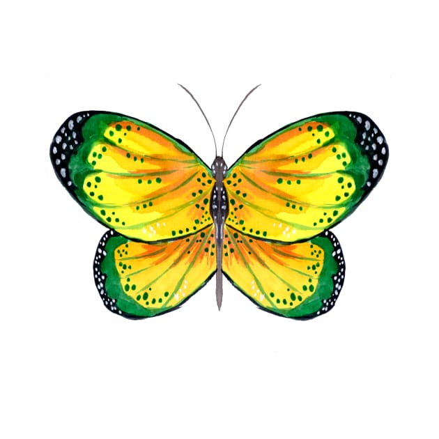 Yellow and Green Butterfly by ZeichenbloQ