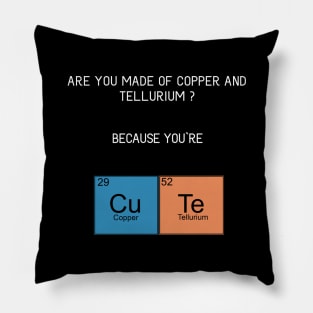 Chemistry love Pillow