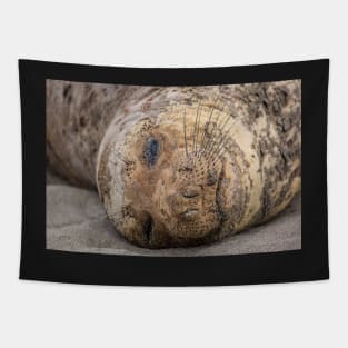 Northern Elephant Seal Tapestry