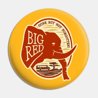 Big Red Pin