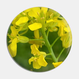 Yellow lampshade flower Pin