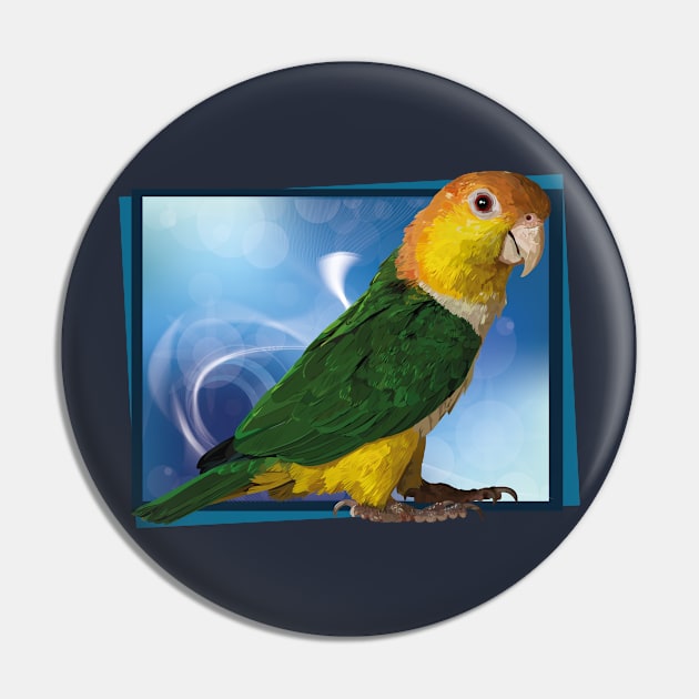 caique Pin by obscurite