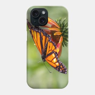 Orange and black monarch on a cone flower with wings spread Phone Case