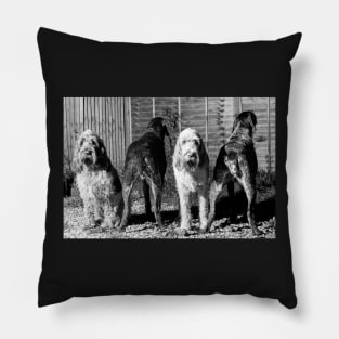 The line up Spinone Pillow