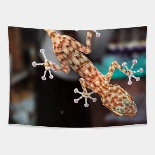 Gecko on a window pane Tapestry