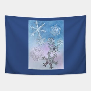 Snowflakes Watercolor Tapestry