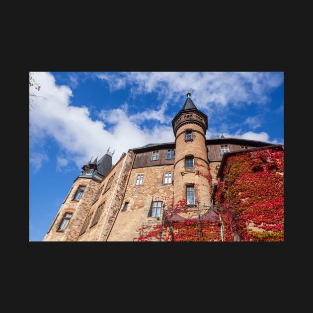 Castle, Wernigerode, Harz, Saxony-Anhalt, Germany by Kruegerfoto