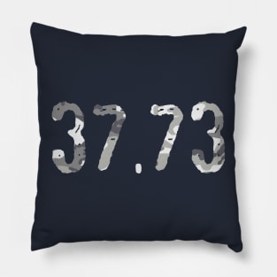 Isle of Man TT circuit urban camo Pillow