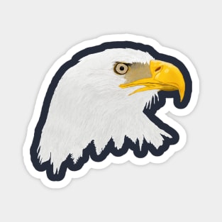 Bald Eagle Magnet