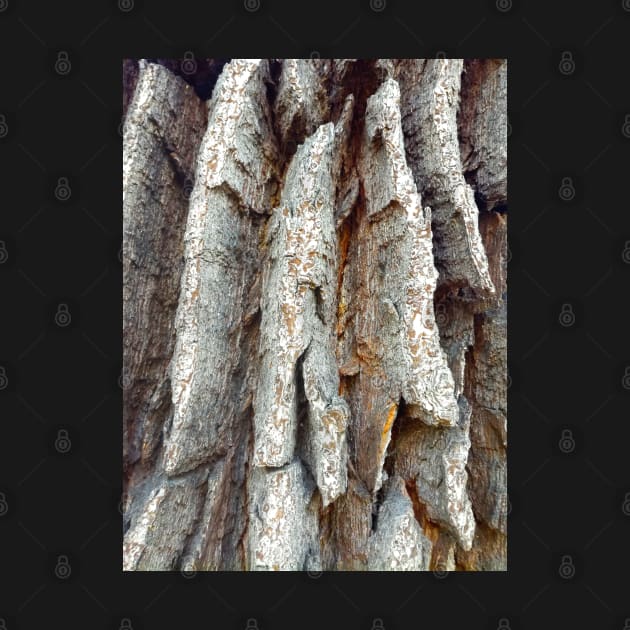 Wood, pattern, tree, nature by tomsacrylicart
