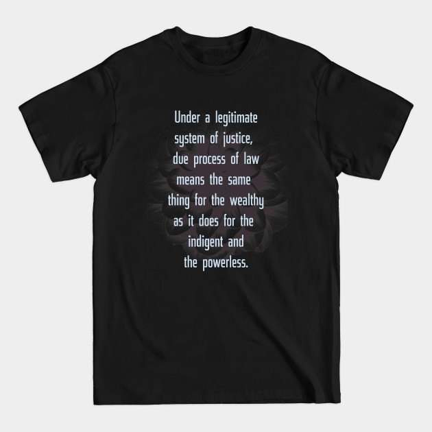 Disover Due Process of Law - Due Process - T-Shirt