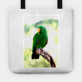 Eclectus Male Parrot Tote