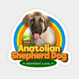 Anatolian Shepherd Dog Magnet