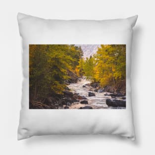 River Through Autumn Forest Pillow