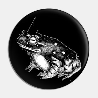 Wizard Frog Pin