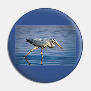 Snack time for Grey Heron Pin