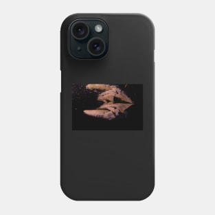 Nurse Sharks at Night dives Phone Case