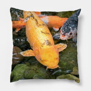 Koi Carp fish Pillow