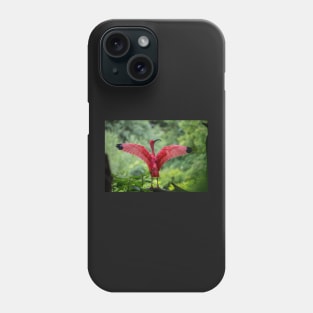 Scarlet Ibis Phone Case