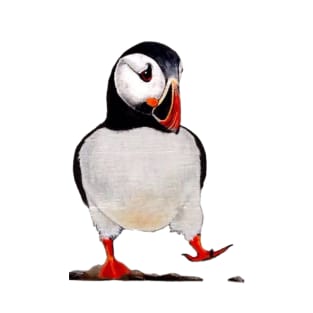 Puffin T-Shirt