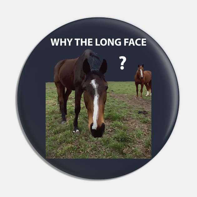 Why The Long Face? - Funny Horse Pin by Lakeric