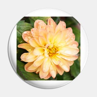 Dahlia Pin