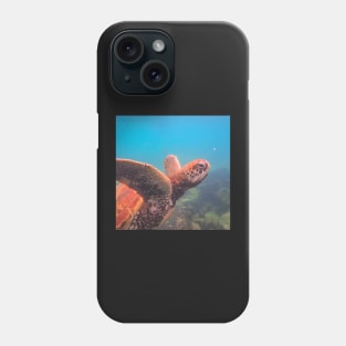 Save The Turtles Phone Case