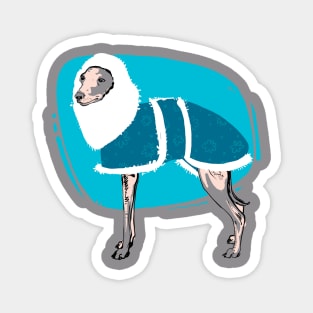 Whippet Dog lover on blue coat Magnet