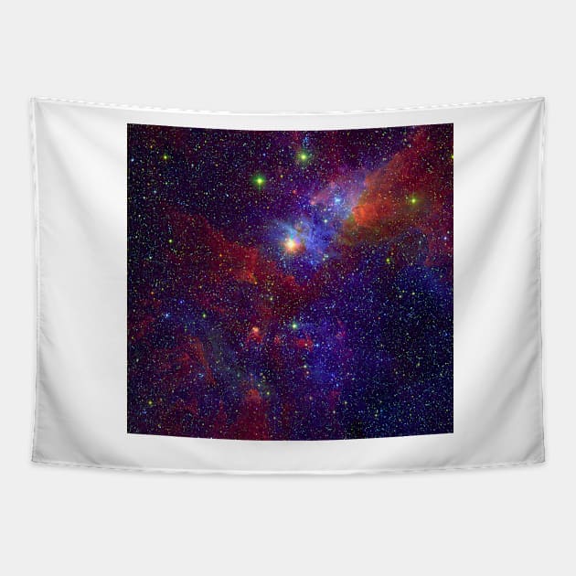 Carina Nebula, composite image (C012/1937) Tapestry by SciencePhoto