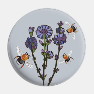 botanical illustration of the cornflower and bumblebee plants Pin