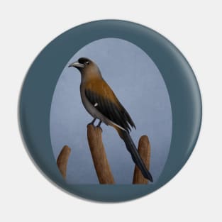 Grey Treepie Pin