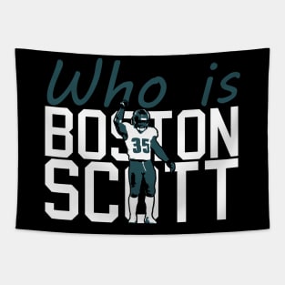 Who is Boston Scott Tapestry
