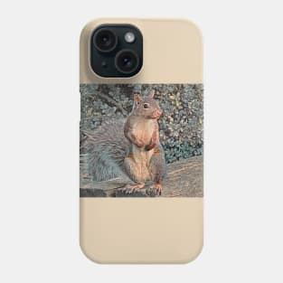 Grey Squirrel Upright No.1 Phone Case