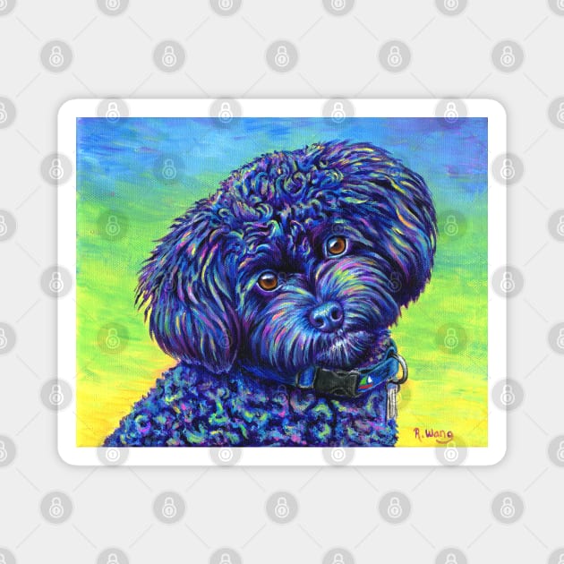 Colorful Black Toy Poodle Magnet by rebeccawangart