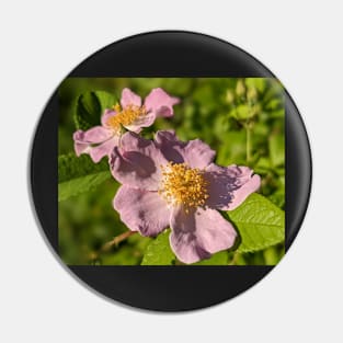 Pink Flowers in Field Pin