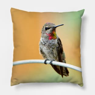 Anna's Hummingbird Pillow