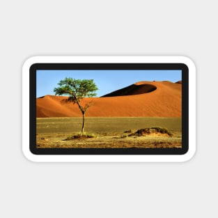 Namib Desert Dunes, Tree & Dry Tsauchab River Valley, Namibia Magnet