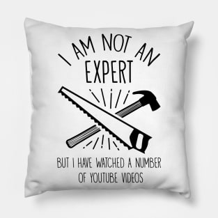 I'm Not An Expert But I Have Watched Many Videos Pillow