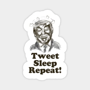 Funny Donald Trump Magnet