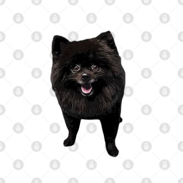 Pomeranian Black Beauty by ElegantCat